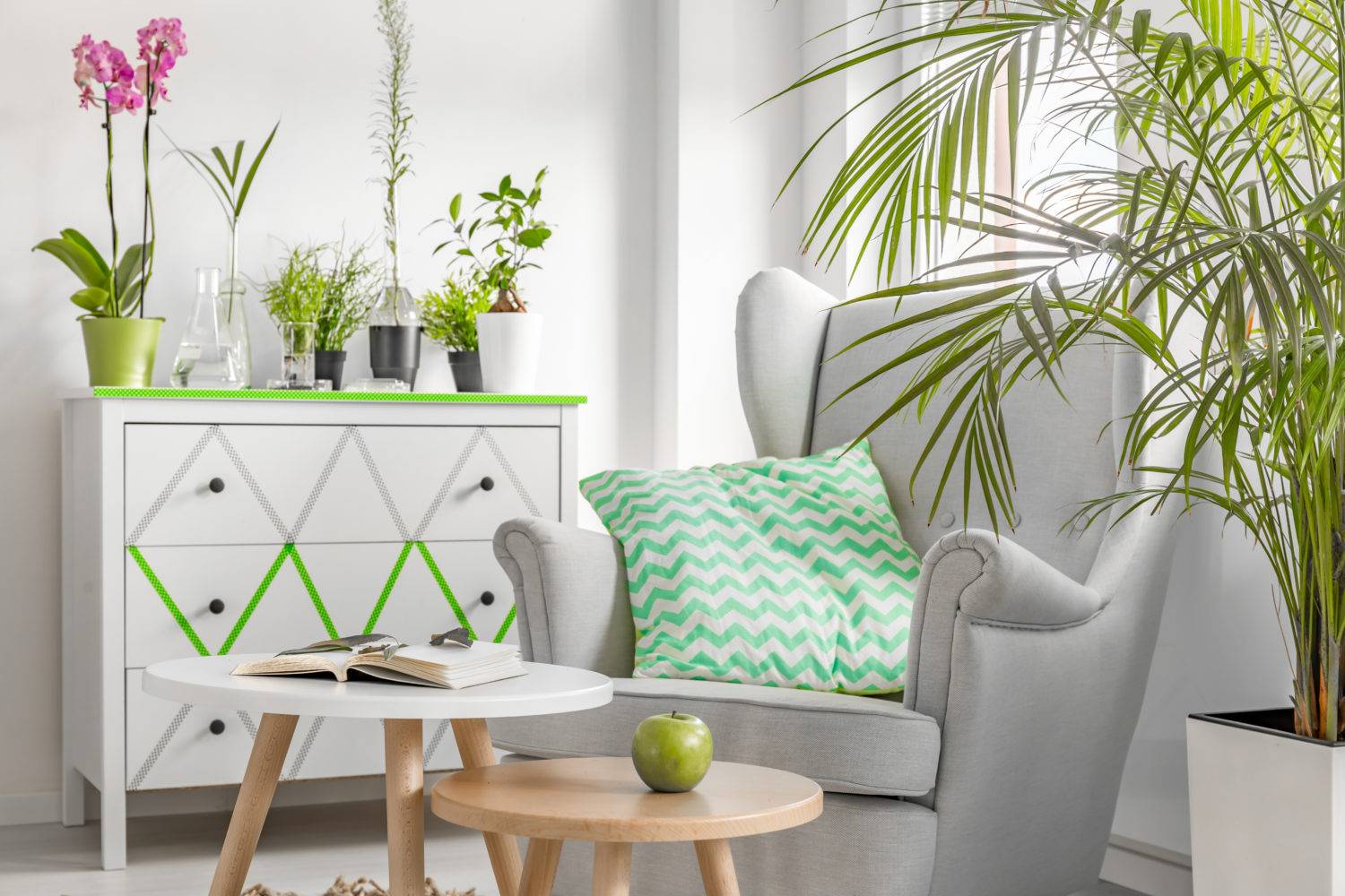 The Importance of Indoor Plants for Apartment Dwellers