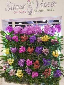 Orchid Wall with Bromeliads