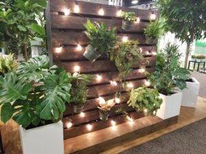 Tropical Plant Wall