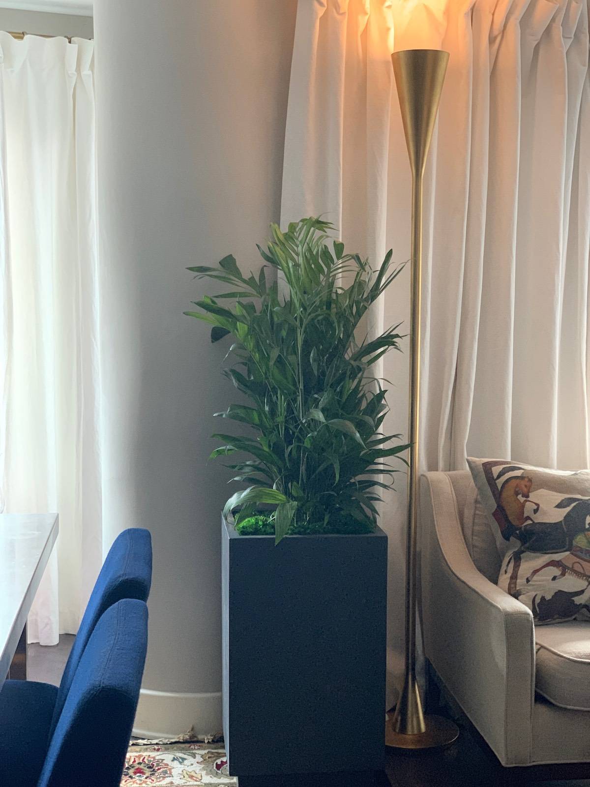 Bamboo Palm Finds a Home in Midwest