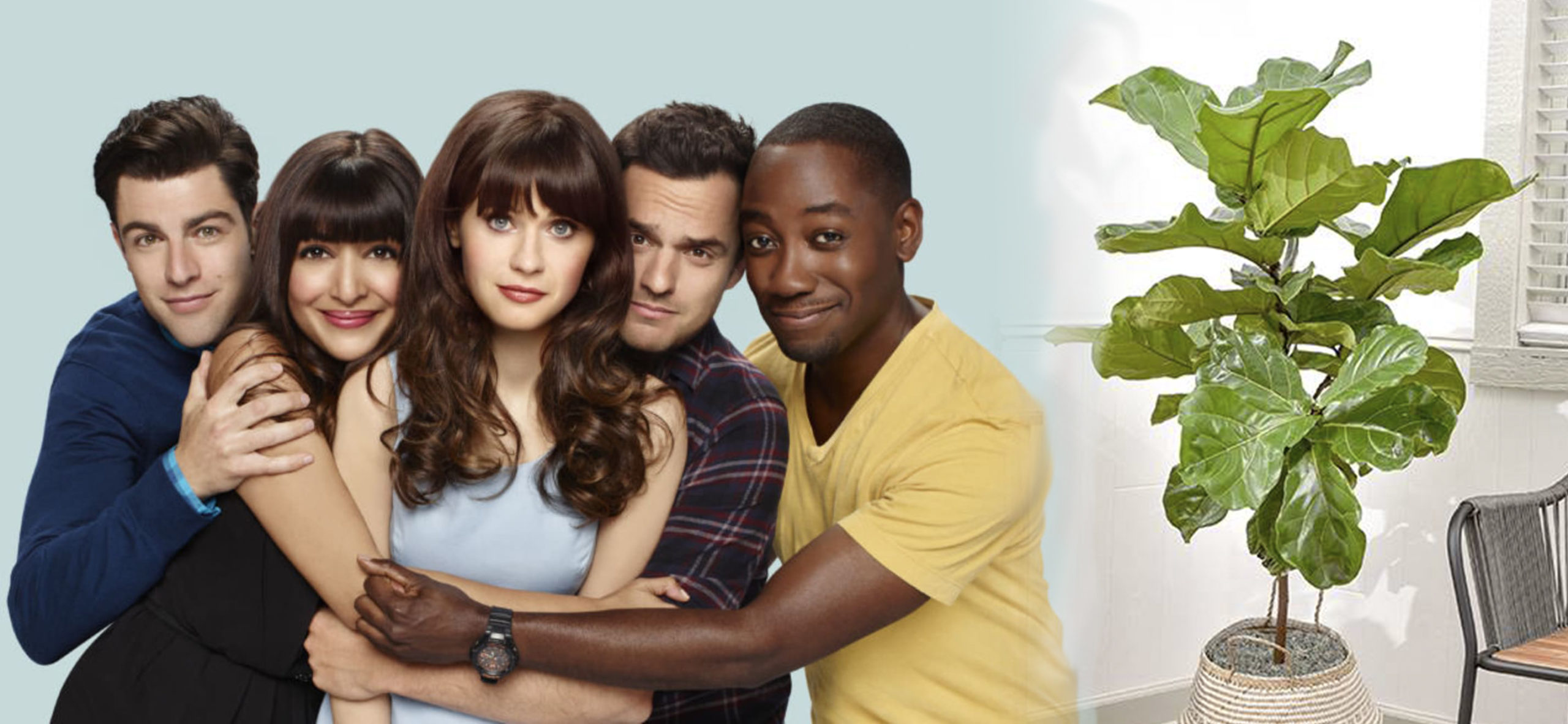 Fiddle Leaf Fig vs the Cast of the New Girl