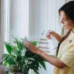Are you “Watering” your plants correctly?