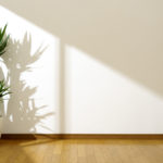 How Too Much Light Affects Your Plants