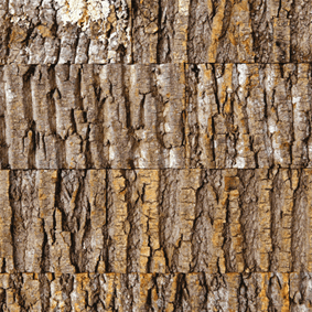 Sustainable Poplar Bark
