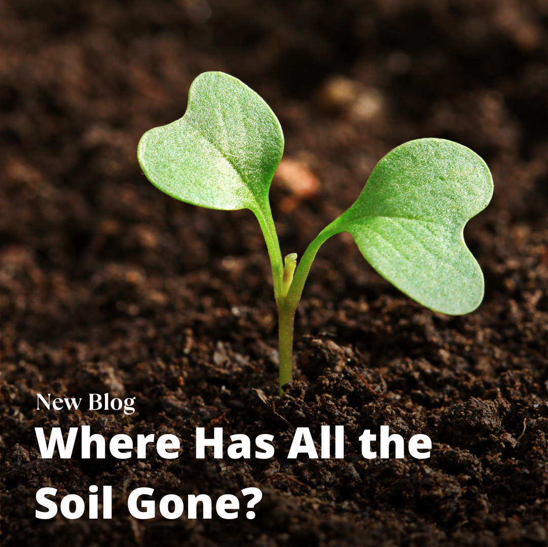 Where Has All the Soil Gone?