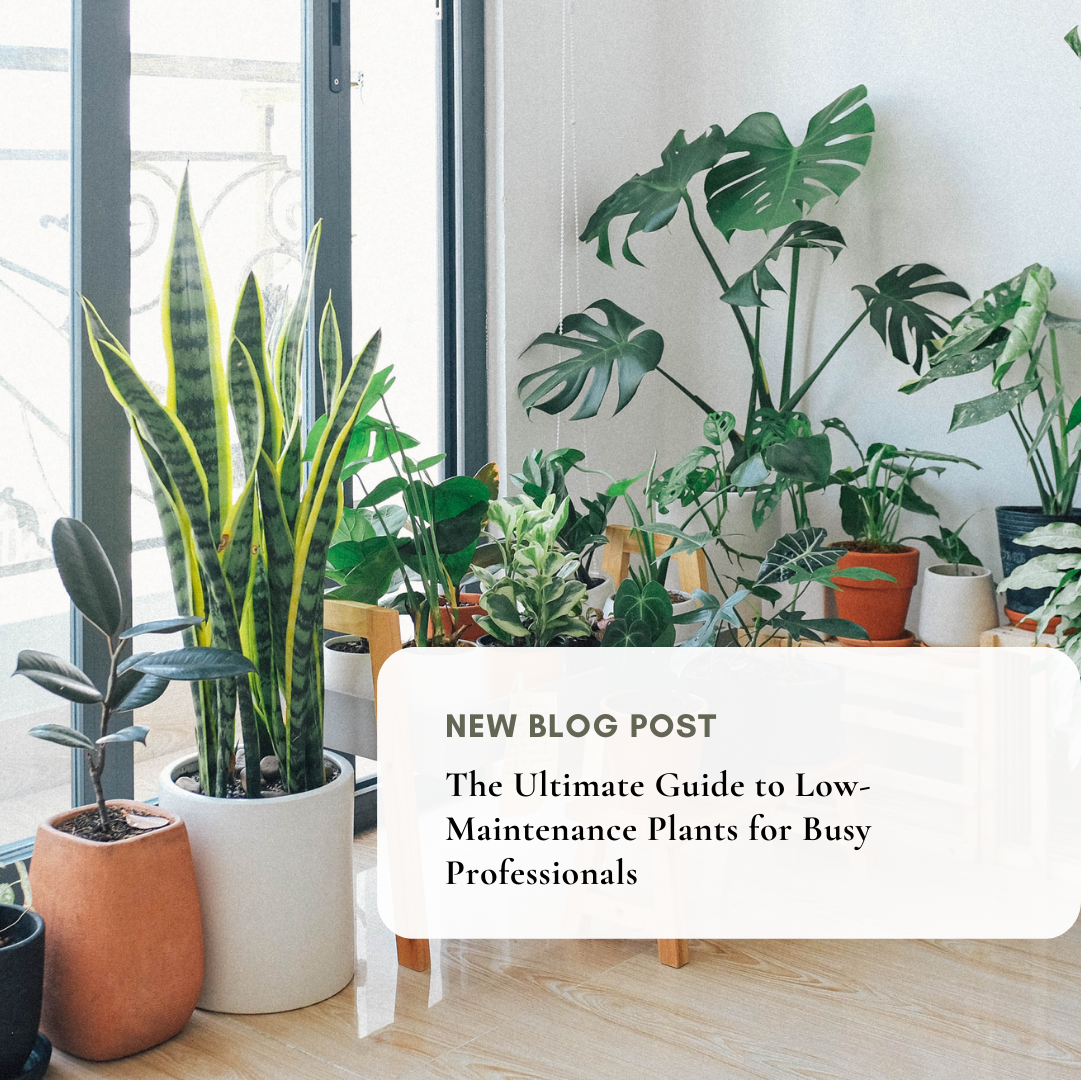 The Ultimate Guide to Low-Maintenance Plants for Busy Professionals
