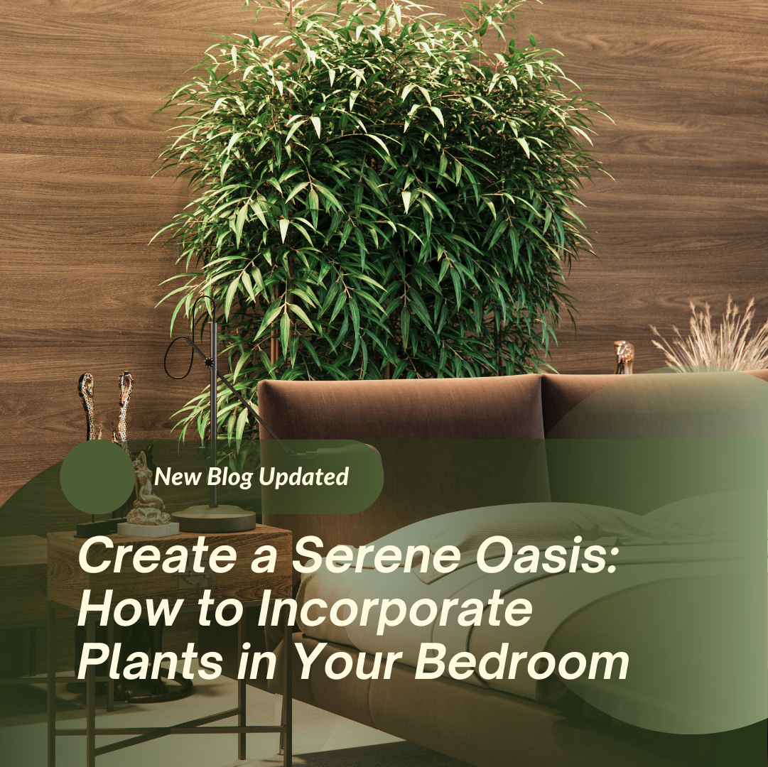Create a Serene Oasis: How to Incorporate Plants in Your Bedroom